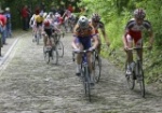 2006